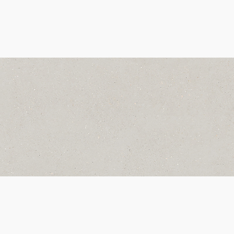LS63