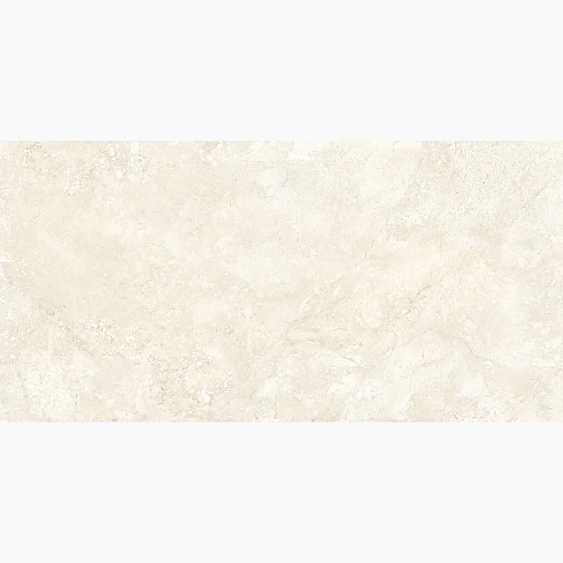 DS61