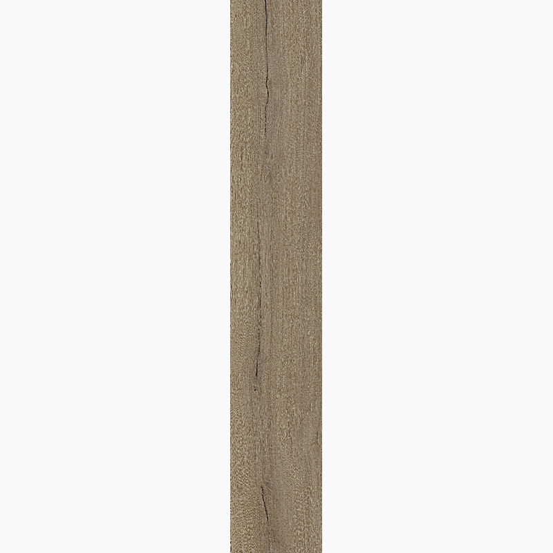 E31
